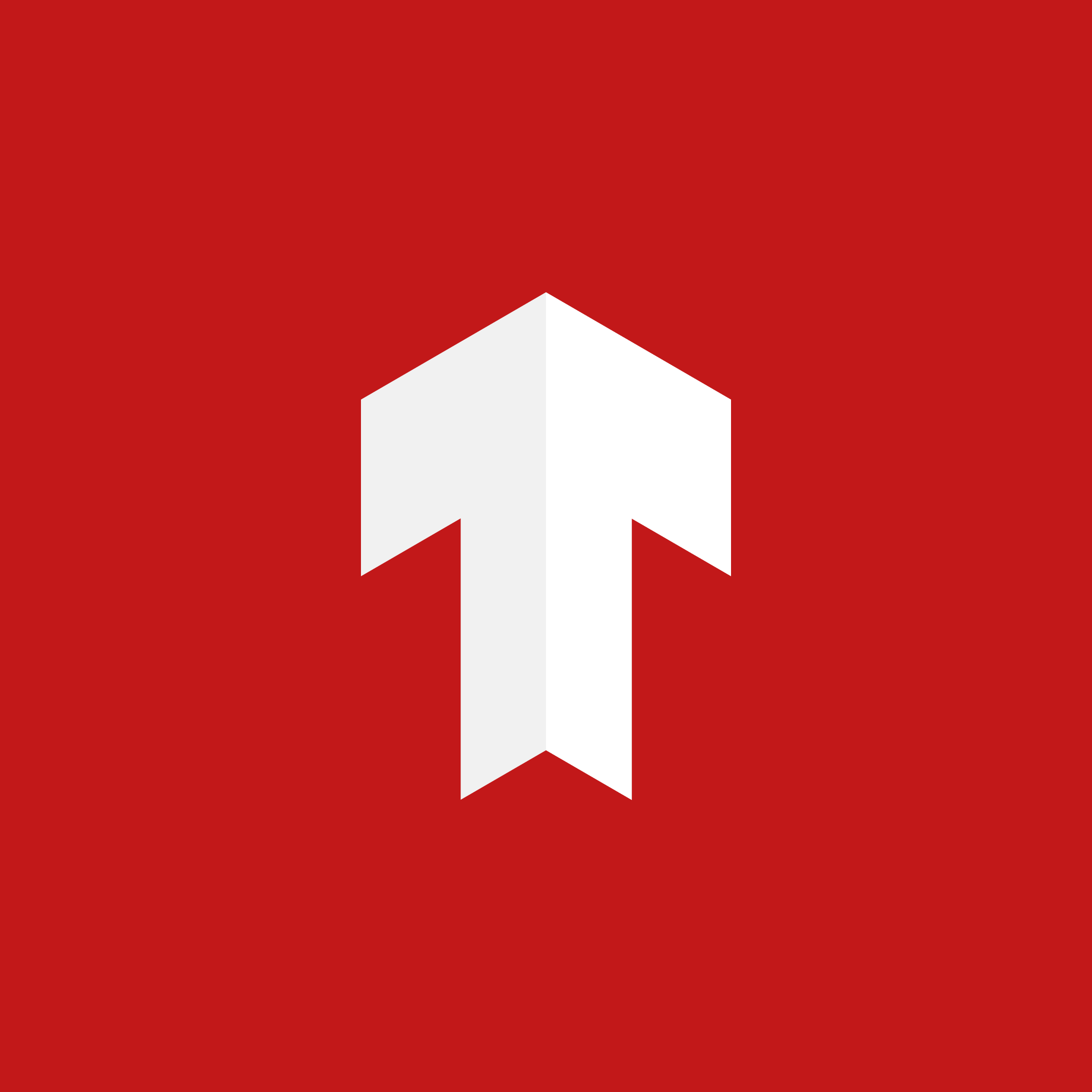 Identidade visual da marca TOPFIT (5)