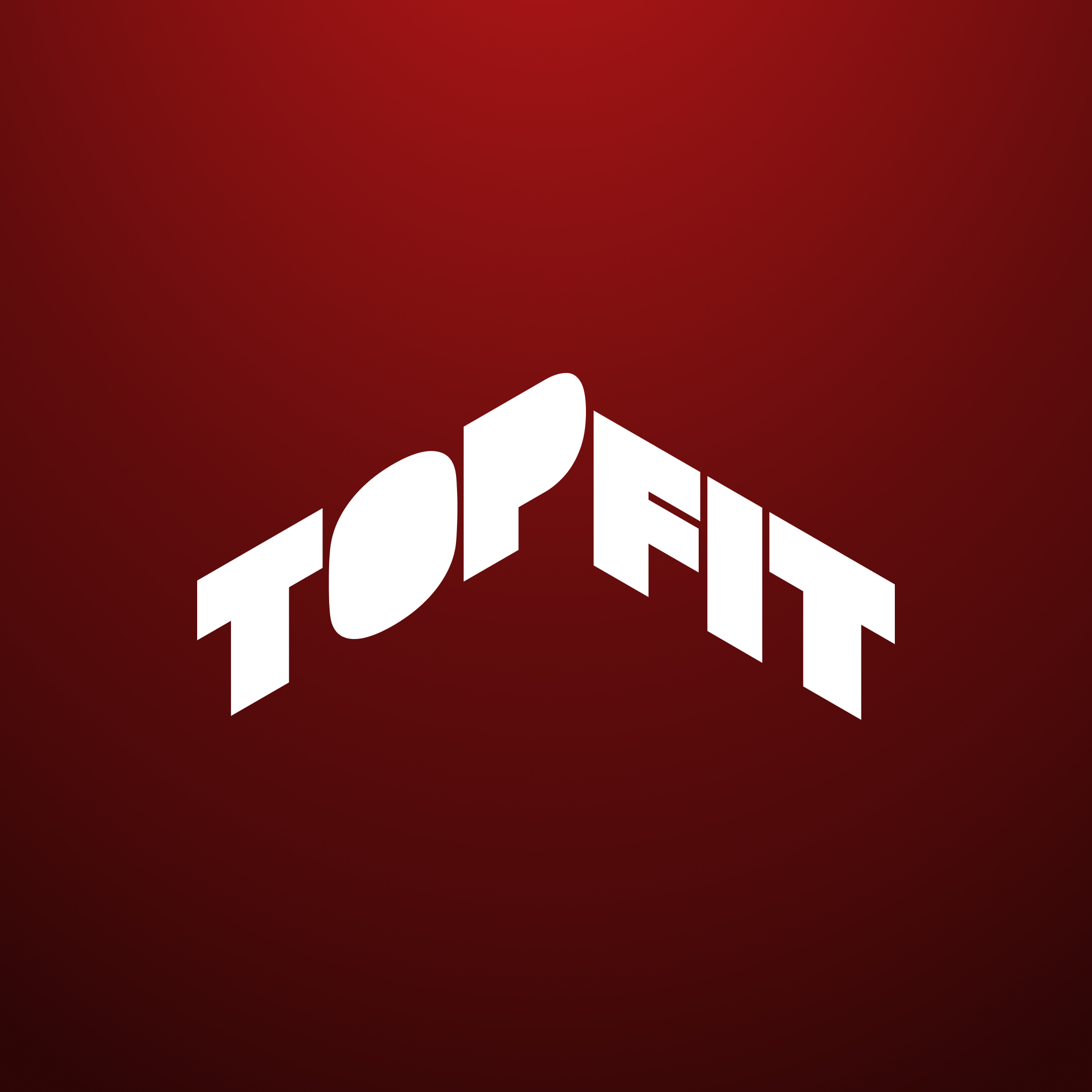 Identidade visual da marca TOPFIT (6)