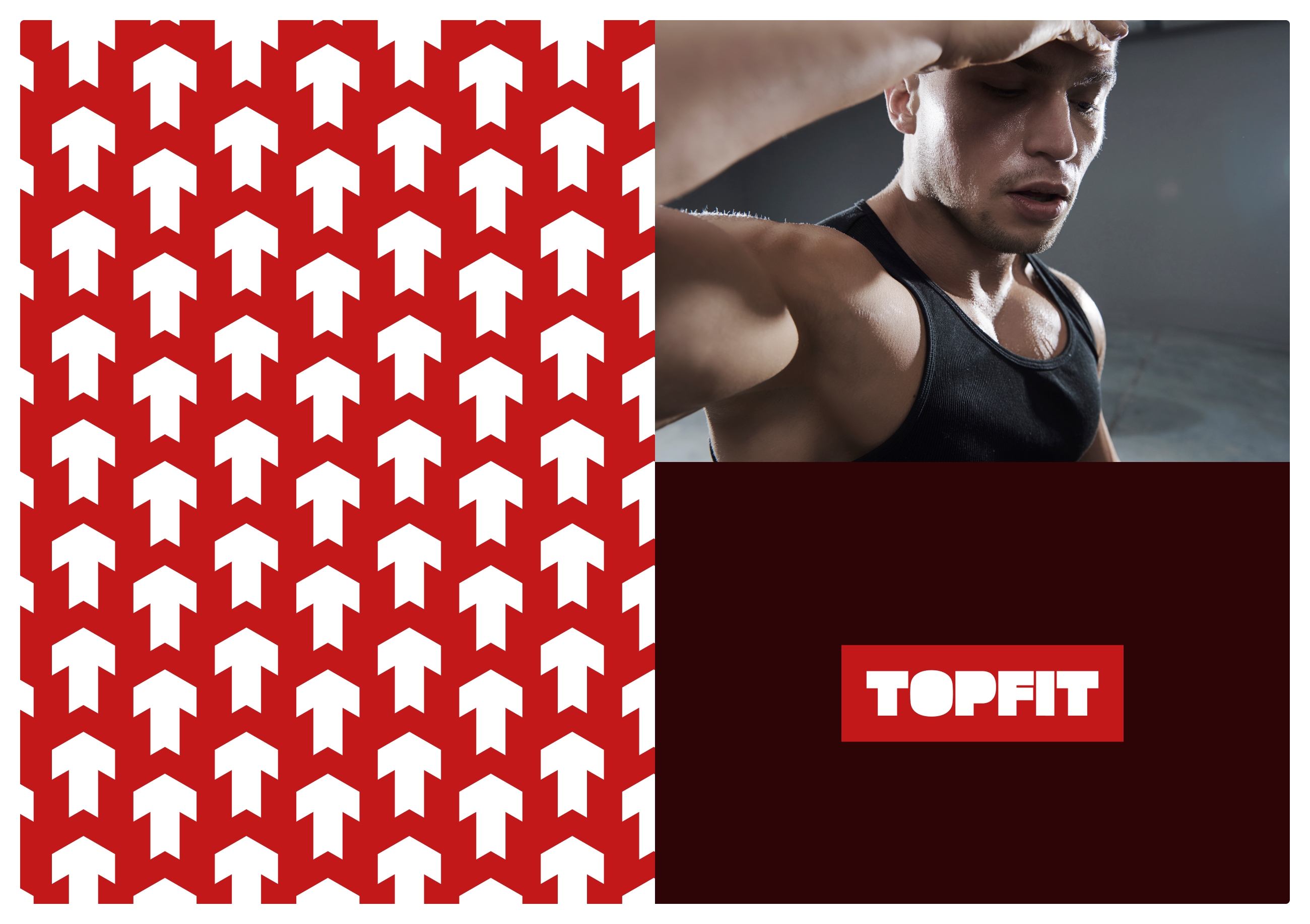 Elemento de branding da marca TOPFIT (1)